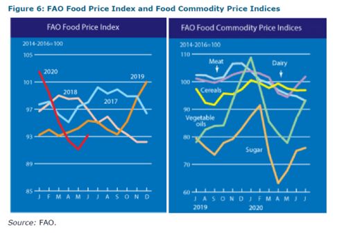 疫情下农产品贸易更具弹性 WTO预计食品价格将维持在较低水平